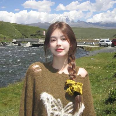 美国鼠谭3:寻宝记